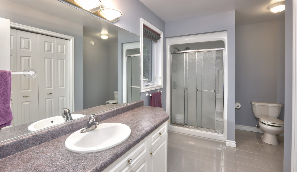 Lower Level Shared Bathroom