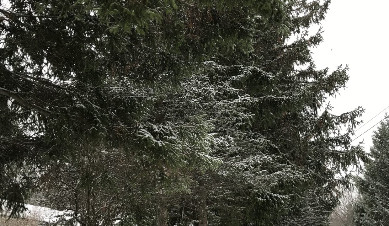 2018-12-06 10.19.41