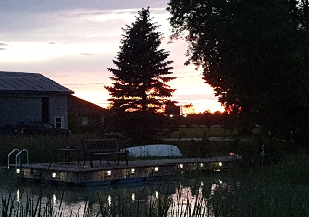 Dock