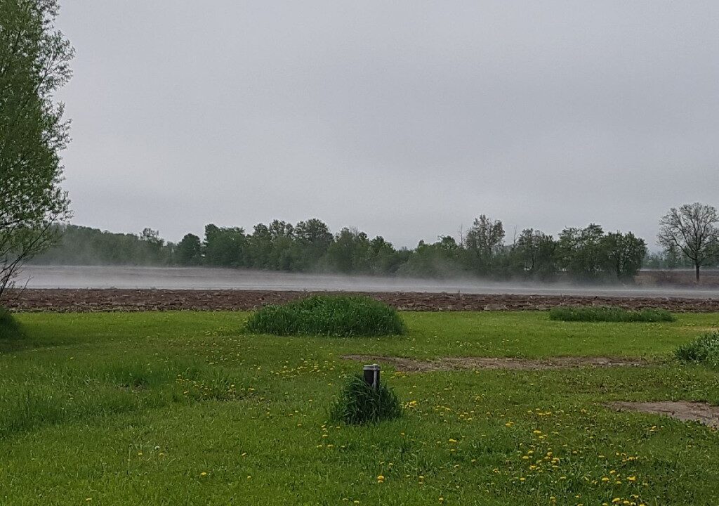 Field2