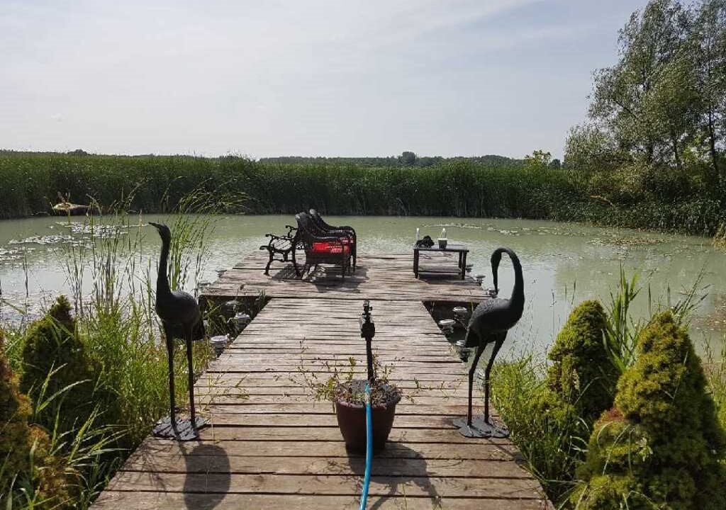 Pond & Dock 2
