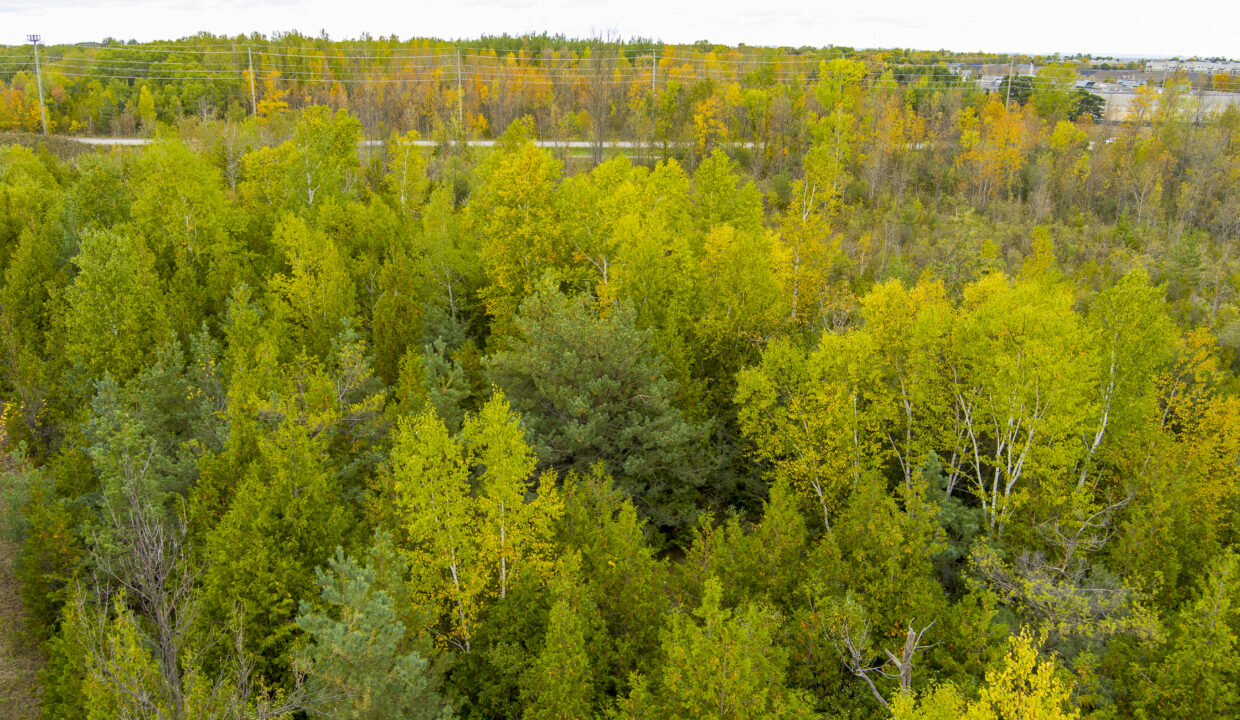 Real Estate Photographer in Collingwood