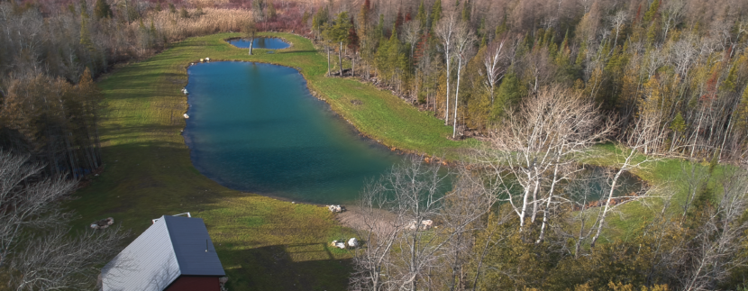 end to end of pond 02359_HDR2