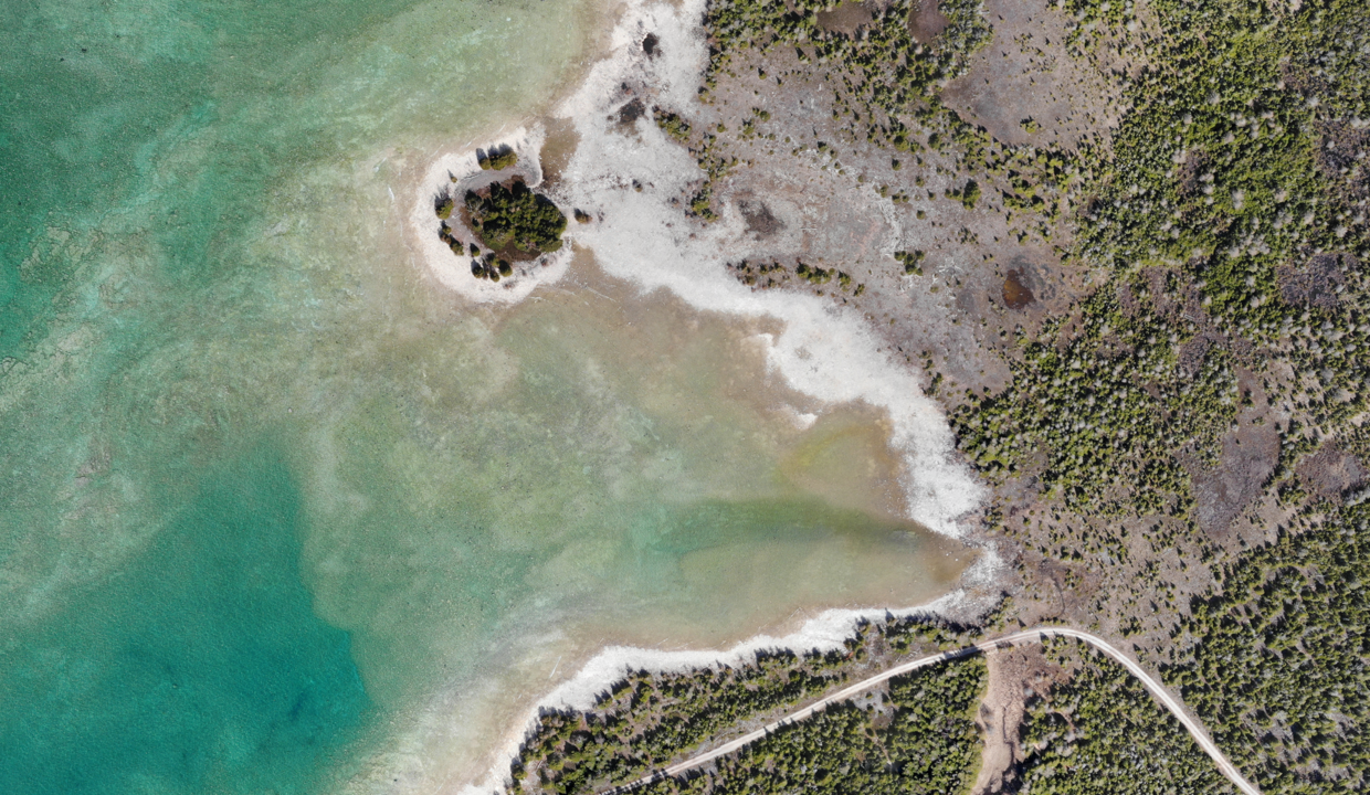 Bradley Orthomosaic Model - sample - south portion of waterfront