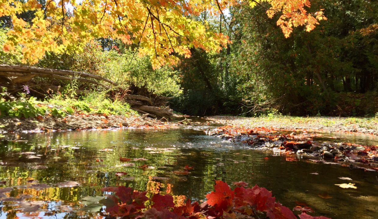 brookfall