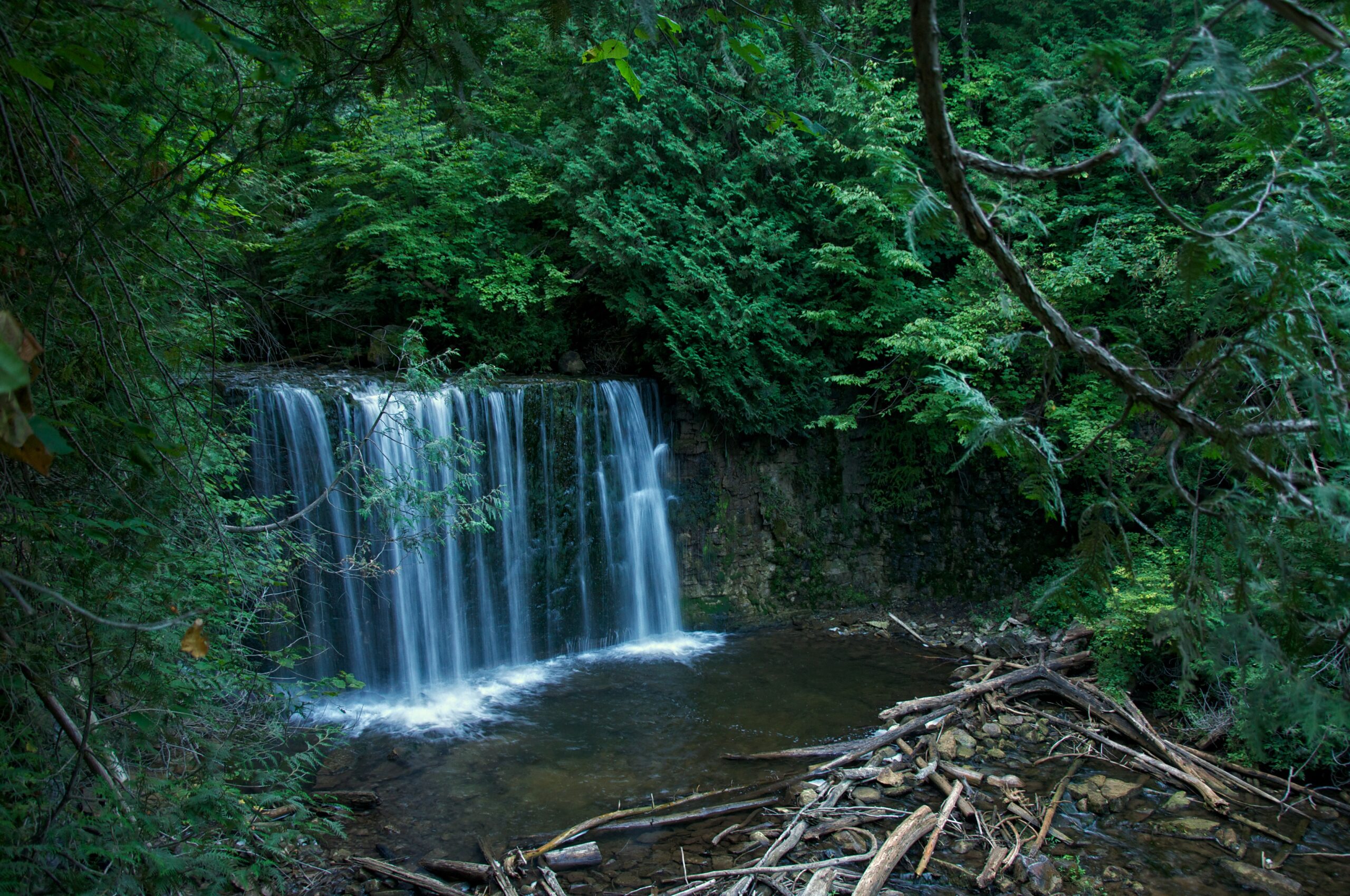 Hoggs Falls waterfall Grey County Ontario surrounded by forest on Bruce Trail