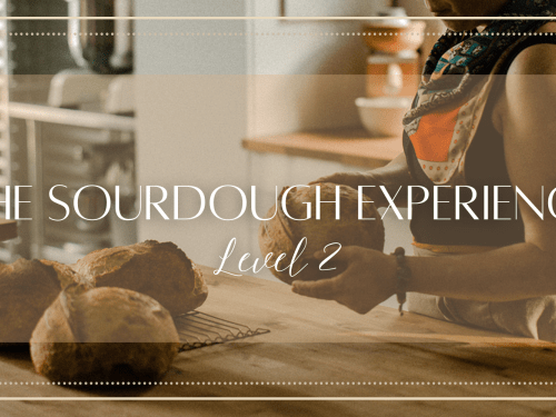 Sourdough Experience Level II Workshop