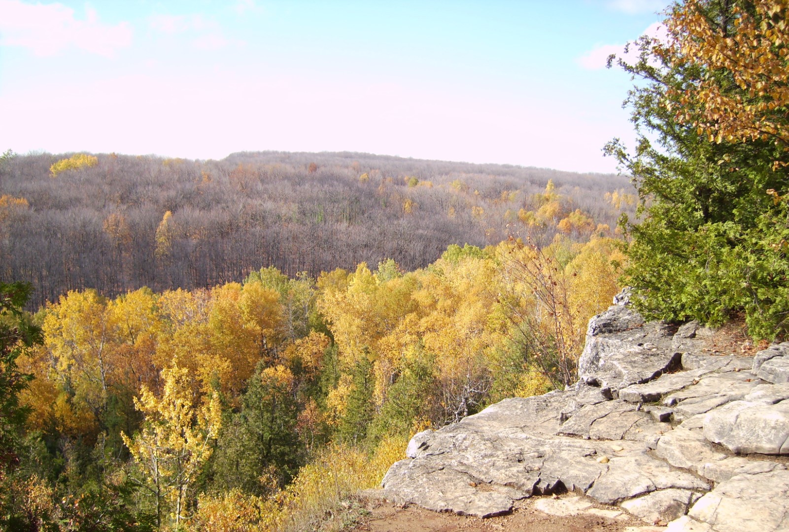 Escarpment lookout over forest at Nottawasaga Bluffs Conservation Area