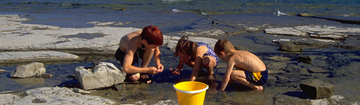 Children exploring the shale shoreline at Craigleith Provincial Park