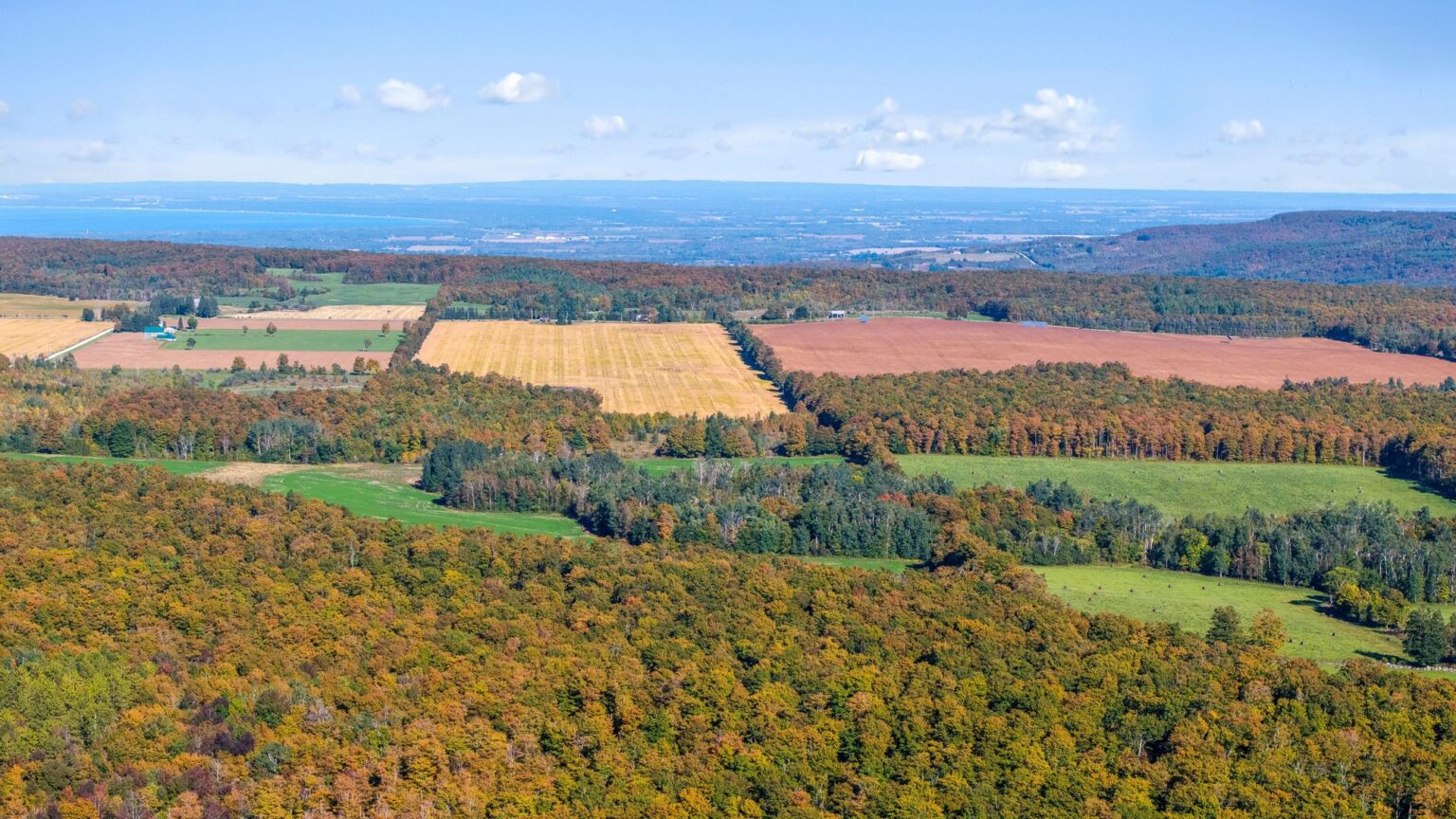 High aerial view over forest and fields to open water on the horizon