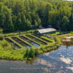 Aerial view of fishery raceways, a building, pond and surrounding woodland