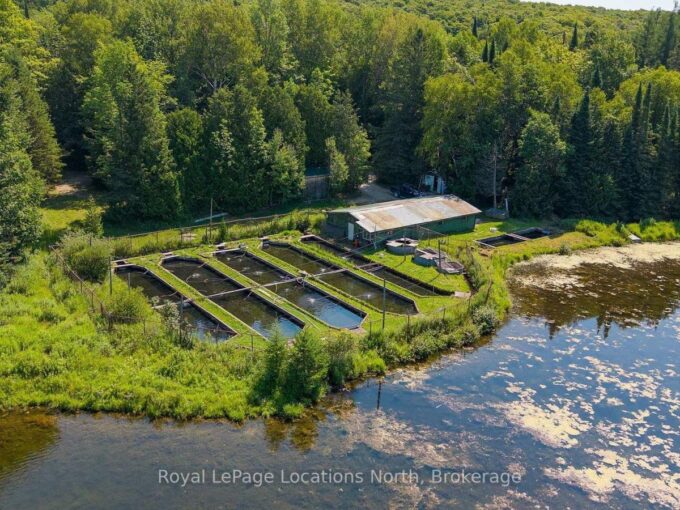 Aerial view of fishery raceways, a building, pond and surrounding woodland